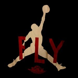 Slightly used good conditions no stains Dri fit long sleeve Jordan shirt